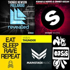 T.Newson,R3HAB,NERVO,Ozcan,W&W —Pallaroid Eat Revolution Sleep Thunder Rave Wonderwall (Dönker Edit)
