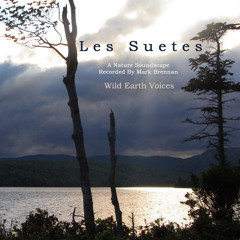'Les Suetes' by Mark Brennan - Album sample