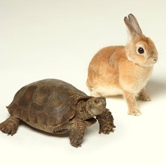 [Natz] 歩いていこう .I'll Walk. (Vocal Cover; #pitch-changed -3 I think orz, sorry)