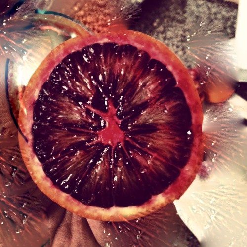 Citrus way (work in progress)