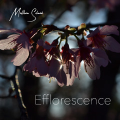 Efflorescence