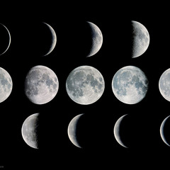 The Moon Song (Cover)