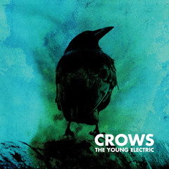 Crows
