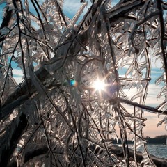 Cover - Tracks (Tall Bodies) (Chelsea Wolfe)