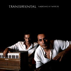 Atanas Valkov & Jahiar Azim Irani - Transoriental - Merging Of Worlds - 04 Teleport