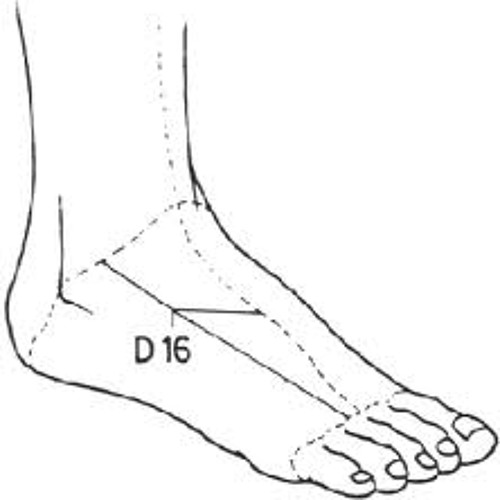 monomono - Suprarenalis Sinistra 2