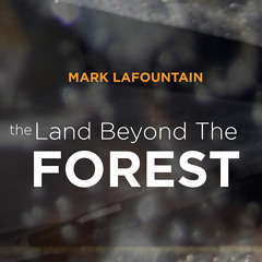 The Land Beyond The Forest