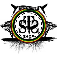 Mr. Dramaman - Sensi Tree Dubplate