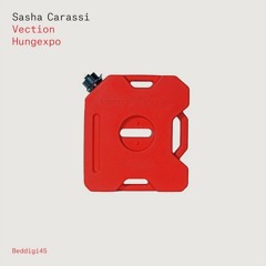 Sasha Carassi - Vection (Original Mix) [Bedrock Records]