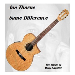 Same Difference  -  Joe Thorne