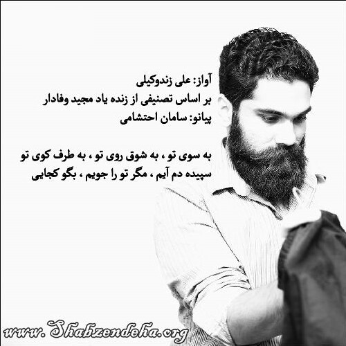 علی زندوکیلی - به سوی تو