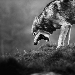 20.-Discurso de Rebeldía