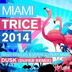 Bass King vs X-Vertigo feat. MMX - Dusk (Duher Remix) [Radio FG USA Rip] [Trice Recordings]