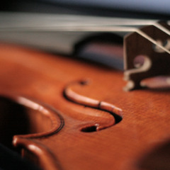 Smooth Violin - Xenone