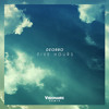 Five Hours (Visionaire Remix)