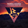 Panda Sound - Losing You