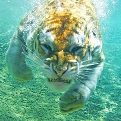 Technowater - March14 mix
