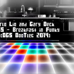 Carlo Lio & Gary Beck & DGS - Breakfast in Funky (DGS Boootleg 2014