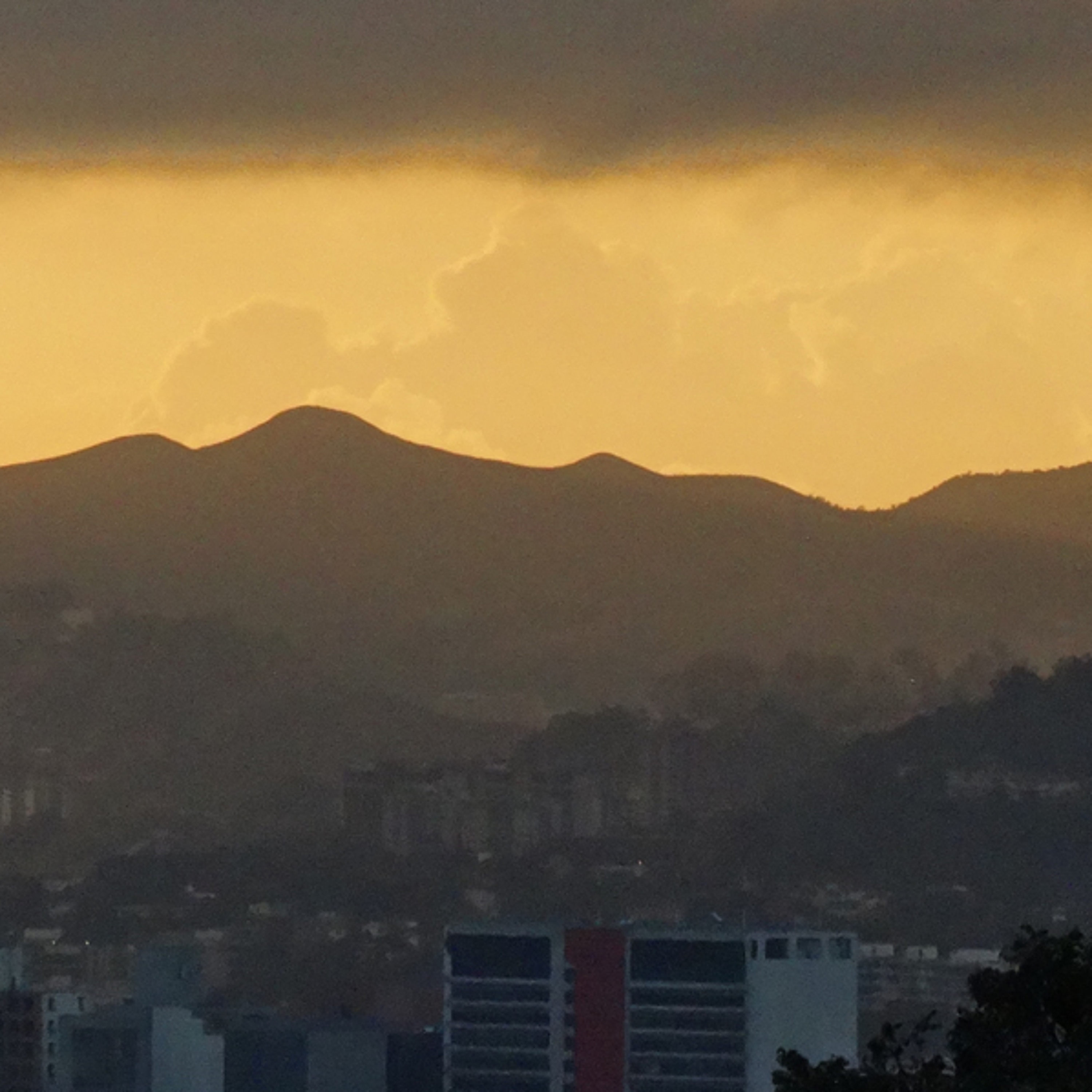 Xavier Losada