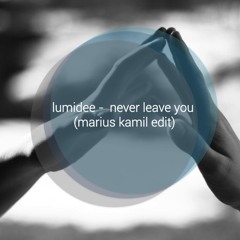 lumidee - never leave you (marius kamil edit)