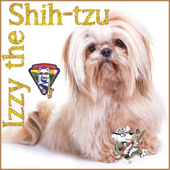 Izzy the Shih-tzu