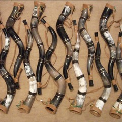 Jota P Ramos Barbosa