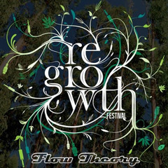 Flow Theory @ Regrowth Festival 2014