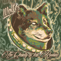 Dont Stop ft Roobinz (OUT NOW)