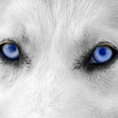 BrandNewGuyz - G.I.B Ft DramaTone