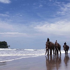 Behind the scenes with WLE film-maker Douglas Varchol