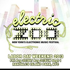 Dog Blood @ Electric Zoo live at New York