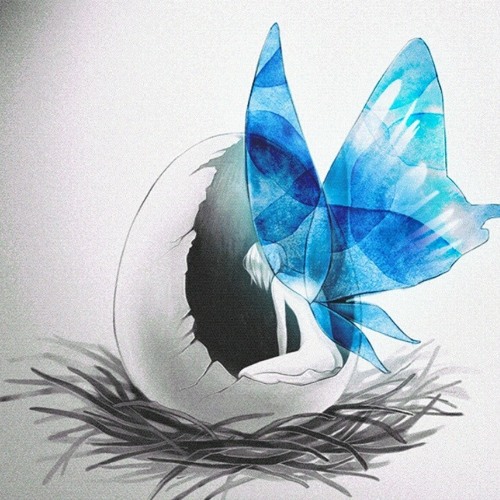 [Cytus] orangentle - Morpho