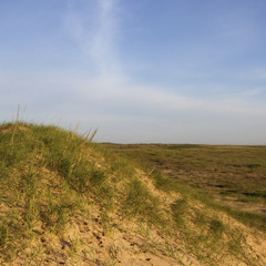 Ecosocialist Horizons Hour March 3rd, 2014: Sowing Seeds with China's Ecosocialists