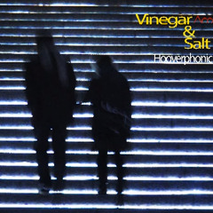 Vinegar and Salt (Acoustic Cover)