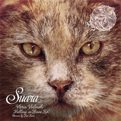 [Suara 123] Vario Volinski & Strassenmajor - Just A Dreamer (Original Mix)