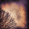 Blowin Smoke To The Stars (Produced by Abterra)