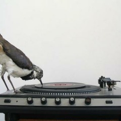 Dj Djaimin ft. Jamie - Nothing Matters At All(Jama.Lee Remix)