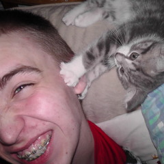 Alice is on the Moon