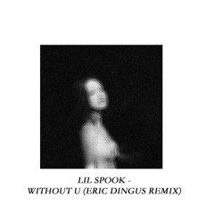 Lil Spook - Without U (Eric Dingus Remix)