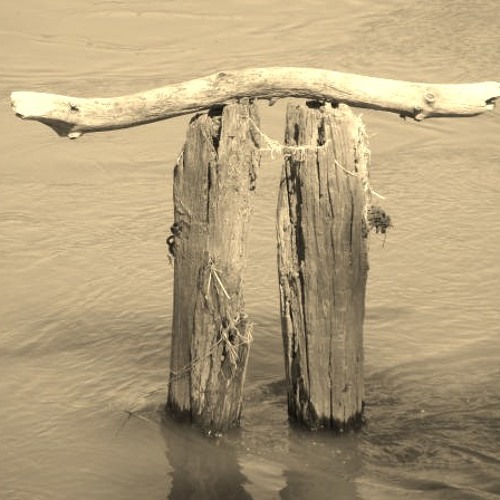 Too Soon (from Stitches and Wires)