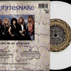 Give Me All Your Love