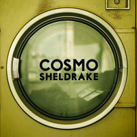 Cosmo Sheldrake - The Moss