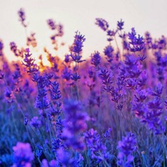 Tundra - Colors Of Blue