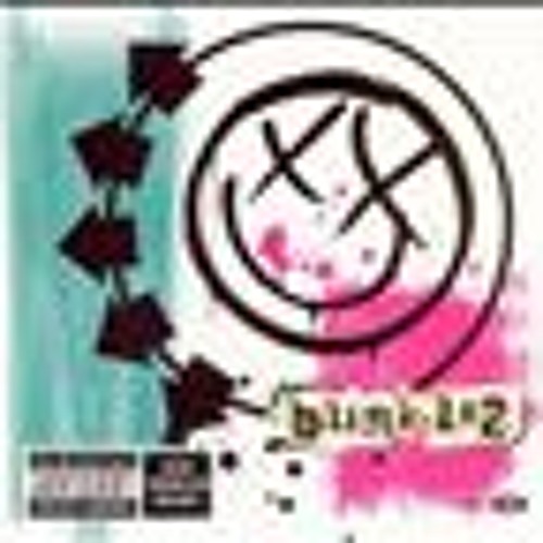 Not Now - Blink-182 (Cover, Acoustic)