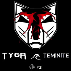 TyGr & Teminite Mix [FTW3]