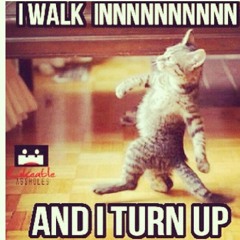 SINGLE LADIES PARANOID-BEYONCE(AURA MASH)