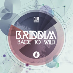 B.Riddim - Back To Wild EP (DSRd002) [FKOF Promo]
