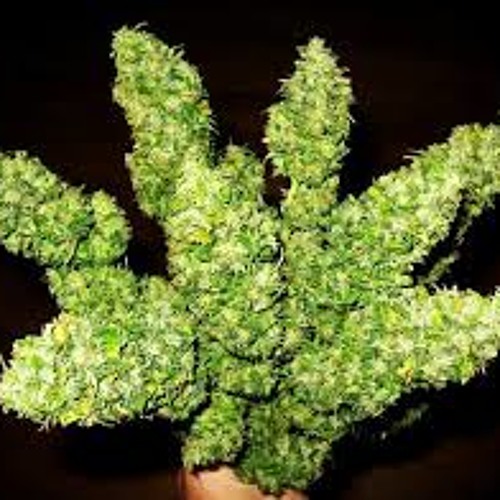 What You Smokin' On - SeeS (S Double E S) ft. Snow Tha Product