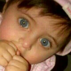 شيلة | ياوجد حالي على المزيون و دياره