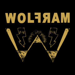 Wolfram - Can't Remember